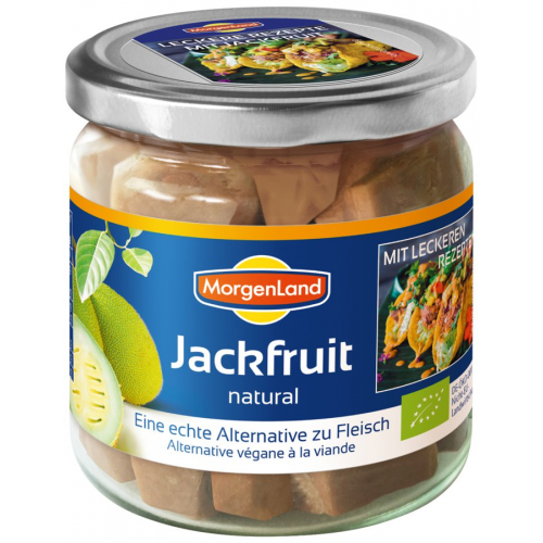 Bio Jackfruit natural