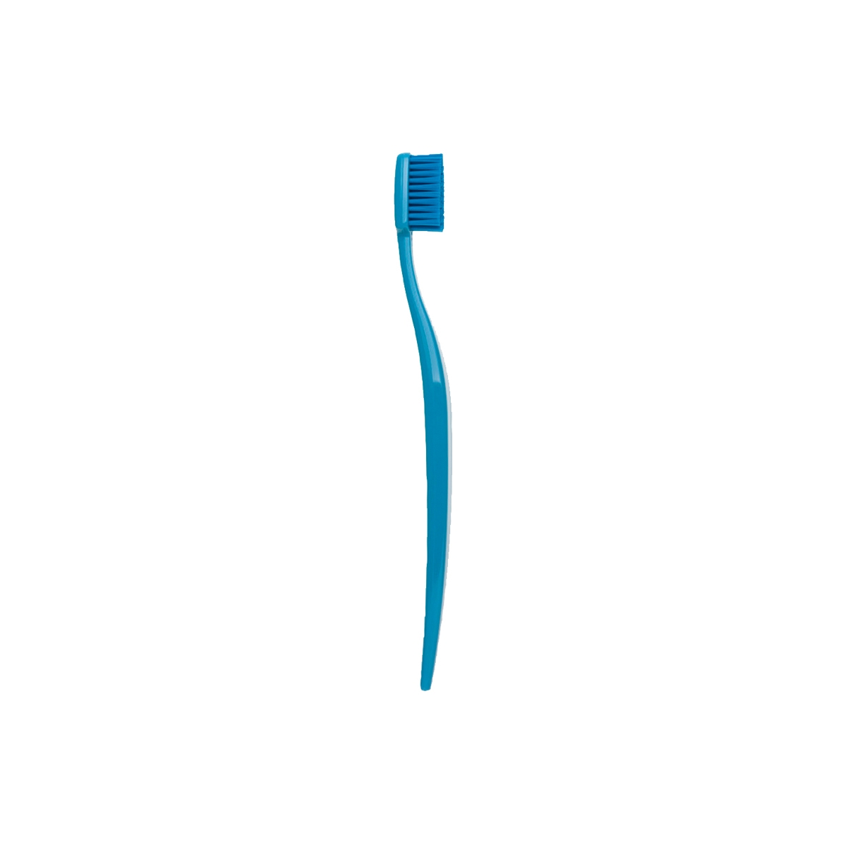Zahnbürste BioBrush Erwachsene blau