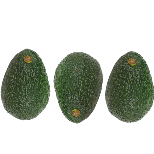 Bio-Avocados Sizilien 3er-Einheit