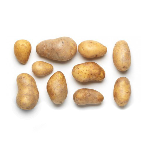 Bio Kartoffeln festkochend 1kg
