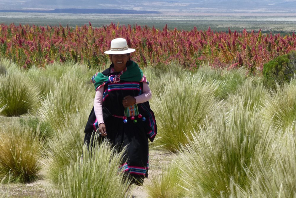 Fairtrade Quinoa aus Bolivien